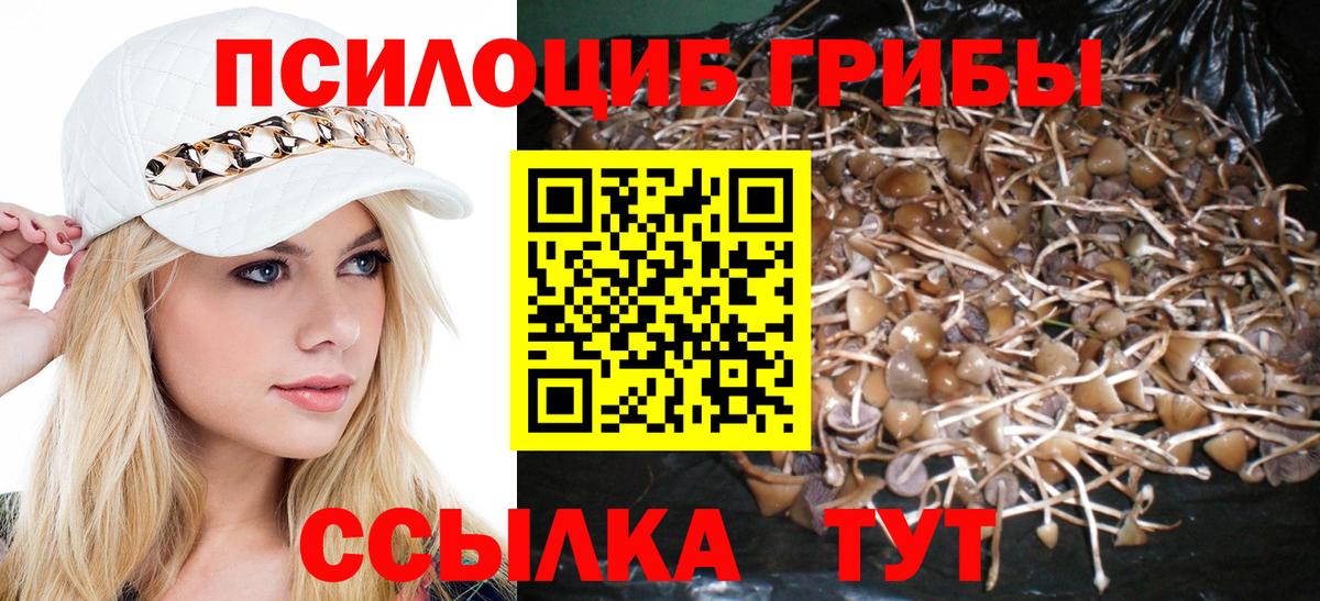 Галлюциногенные грибы Magic Shrooms Боровичи