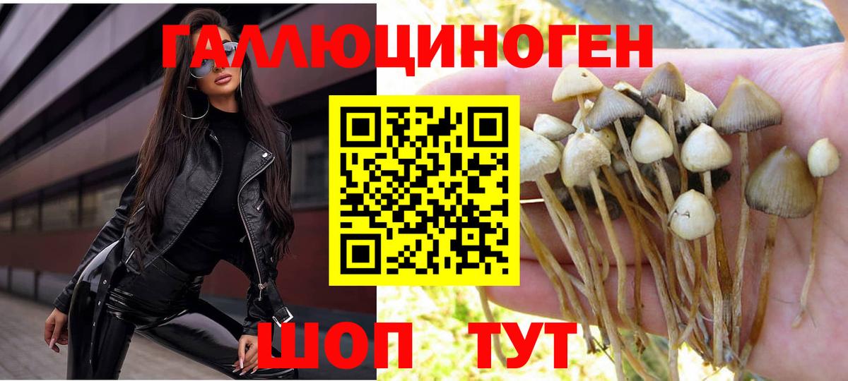 Псилоцибиновые грибы мухоморы  наркотики  Боровичи  Вход с VPN 